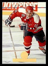 1994-95 Leaf Randy Burridge #291 - Washington Capitals