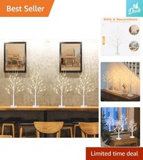 Adjustable 2FT Birch Tree with Timer  24 Warm White LED Lights - Indoor Bliss