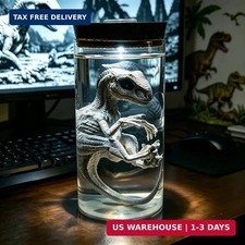 Dinosaur Table Lamp Night Light, Creative LED Ambient Lamp, Unique Collectible F