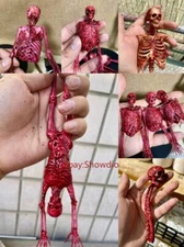 1/12 1/6 Scale Human Skeleton Half-body Flesh Blood Skeleton Model Accessory