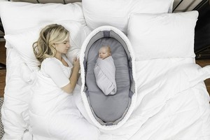 baby delight snuggle nest peak portable bassinet