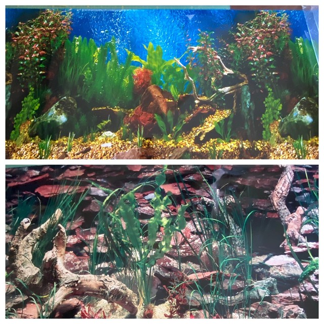 Petco Double Sided Aquarium Background for sale online eBay