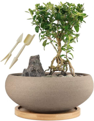 round Unglazed Ceramic Bonsai Pot with Bamboo Tray, Large Rough Pottery Succulen