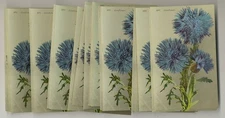 50 Edward H Mitchell Cornflower Post Cards, Warehouse Find, Original