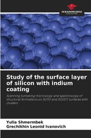 Study Of The Surface Layer Of Silicon With Indium Coating Shmermbek (U. A.) Buch