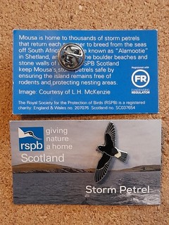 RSPB STORM PETROL Charity Pin Badge GNAH Scotland