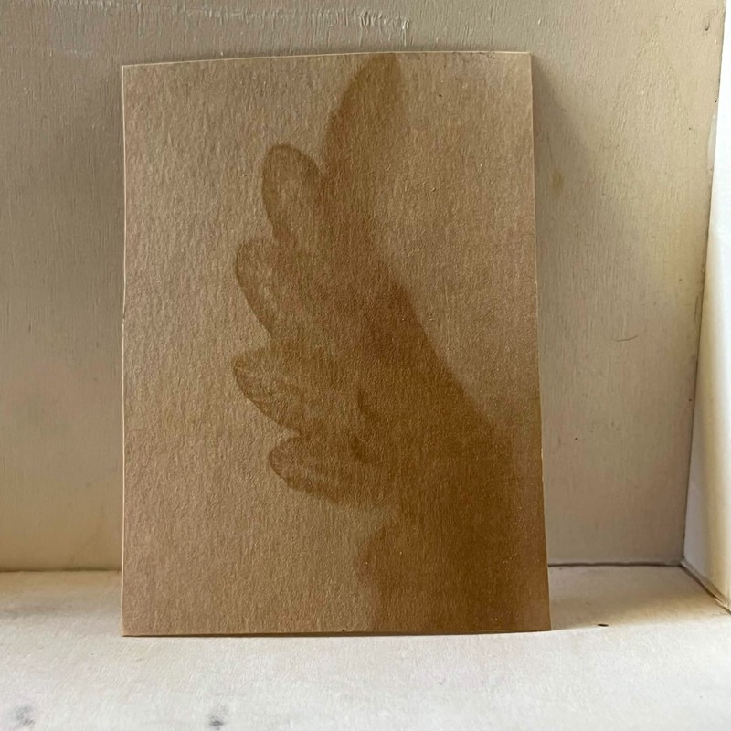 ACEO Original Art Card 2.5 x 3.5 anthotype mini painting angel wings