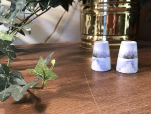 TINY CHINA SALT & PEPPER SHAKERS ~ NIPPON?