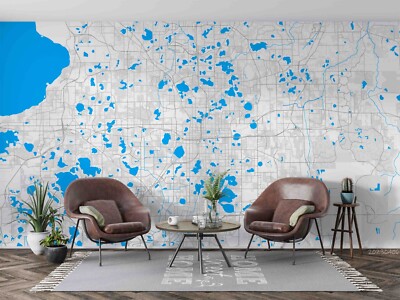 3D Detailed Orlando Area Map Wallpaper Wall Mural Peel and Stick Wallpaper 426