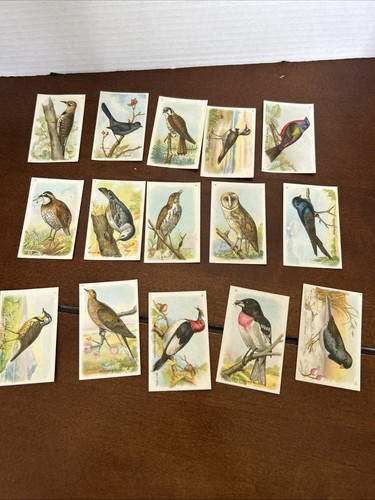 Arm & Hammer Useful Birds of America Trade Cards Set of 15 Sixth Series