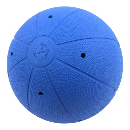 Goalball Sound Ball WV for Visually Impaired Two Bells 1250 g 25 cm IBSA eBay