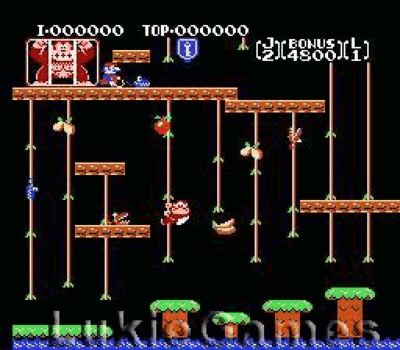 Donkey kong sale jr nes