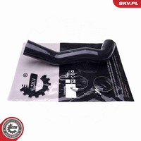 Ladeluftschlauch Esen SKV 43SKV248 FüR Lancia Lybra Thesis JTD 839 AXE1A 841