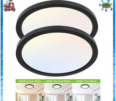 2 Pack 12 Inch Selectable CCT LED Round Flat Panel Light, 24W, 3000K/4000K/5000K