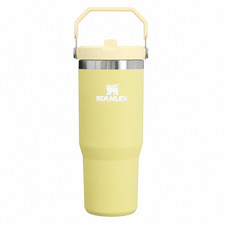 Stanley The IceFlow 30 oz  Flip Straw Tumbler Yellow NEW
