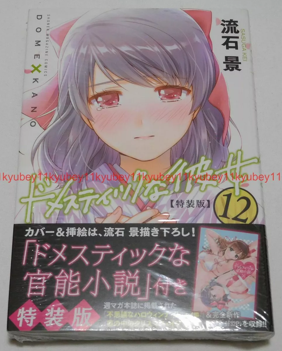 Domestic Girlfriend Volume 12 (Domestic na Kanojo) - Manga Store