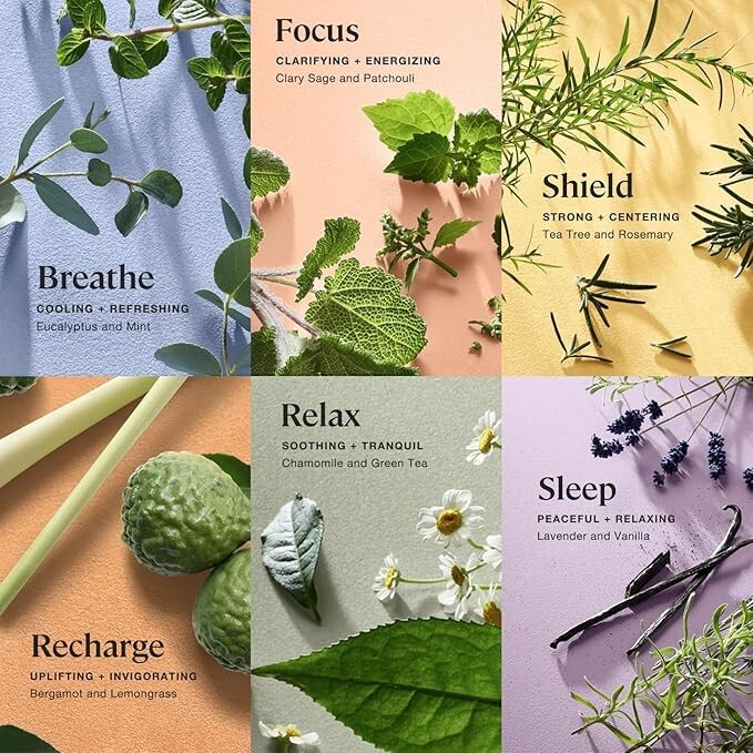 Sprig By Kohler Body & Linen Mists Essentials Pack 6 varieties spray 1oz NIB