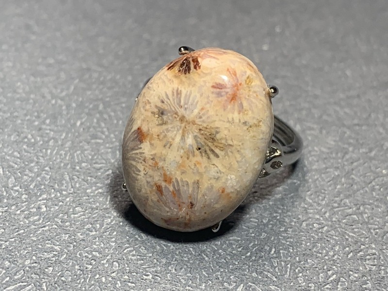 Natural Silicified Coral Fossil Flower Agate Ring/ Adjustable