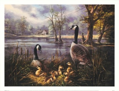 Rudi Reichardt Parenthood Art Print Geese and Chicks 26x20 in