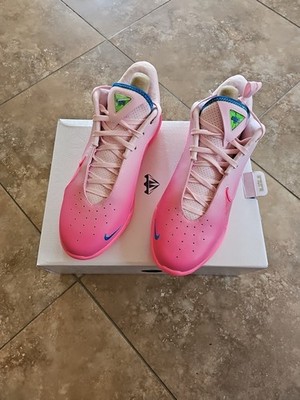 シューズ(男性用) NIKE LEBRON 22 PINK/BLUE Nike Lebron XXII 22 SN Basketball Shoes Pink Foam Blue Men's Size