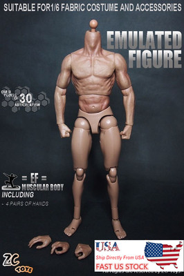 hottoys製素体 1/6フィギュア ZC Toys 1/6th Muscular Flexibl Male Figure Body Fit 12