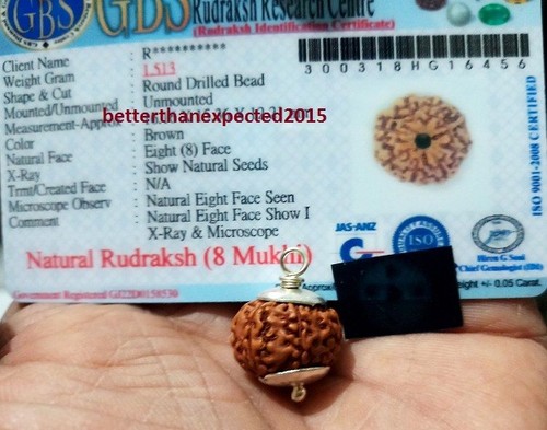 8 Mukhi rudraksha / Eight Face Rudraksh- Java Silver Pendant -Certified 16-18 MM - Picture 4 of 4