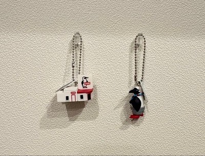 Chums Set Of 2 Capsule Toy Key Holders Rare Outdoor Model Limited Edition Aceeso