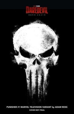 PUNISHER #1 ADAM ROSS MARVEL TV LOGO VARIANT (VF to VF+) (MARVEL COMICS 2026)