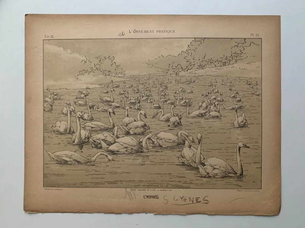 Chromolithographie Ancienne Originale – Firman Didot – 1890 – Encadrée – Art Nouveau