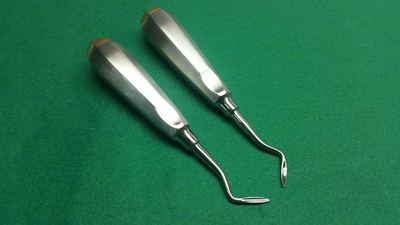 2 DENTAL ROOT ELEVATOR FLOHR RIGHT & LEFT WITH GOLD HANDLE