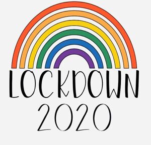 Lockdown 2020 Rainbow Vinyl Decal 3 Sizes | eBay