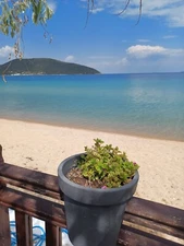 Photo Image Picture Wallpaper Background Beautiful Art Digital # 429