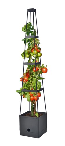 Tomaten Rankhilfe mit Topf 150 cm Anwuchs Rank Hilfe Pflanz Turm
