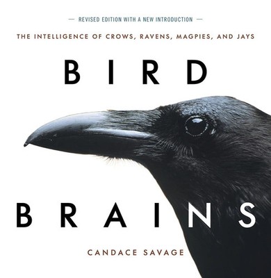Bird Brains | The Intelligence of Crows, Ravens, Magpies, and Jays | Savage