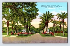 Postcard Louisiana New Orleans LA Anseman Avenue City Park 1940s Unposted Linen