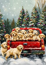 1000 Piece Puzzle for Adults Cute Puppies Christmas Puzzle, Golden Retriever Chr