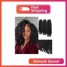 Burmese Curly Bundles Human Hair 12 14 16 Inch 3 Bundles Wet and Wavy Human Hair