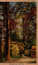POSTCARD GREETINGS FROM PAOLI INDIANA