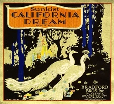 Placentia California Dream Peacock Orange Citrus Fruit Crate Label Art Print