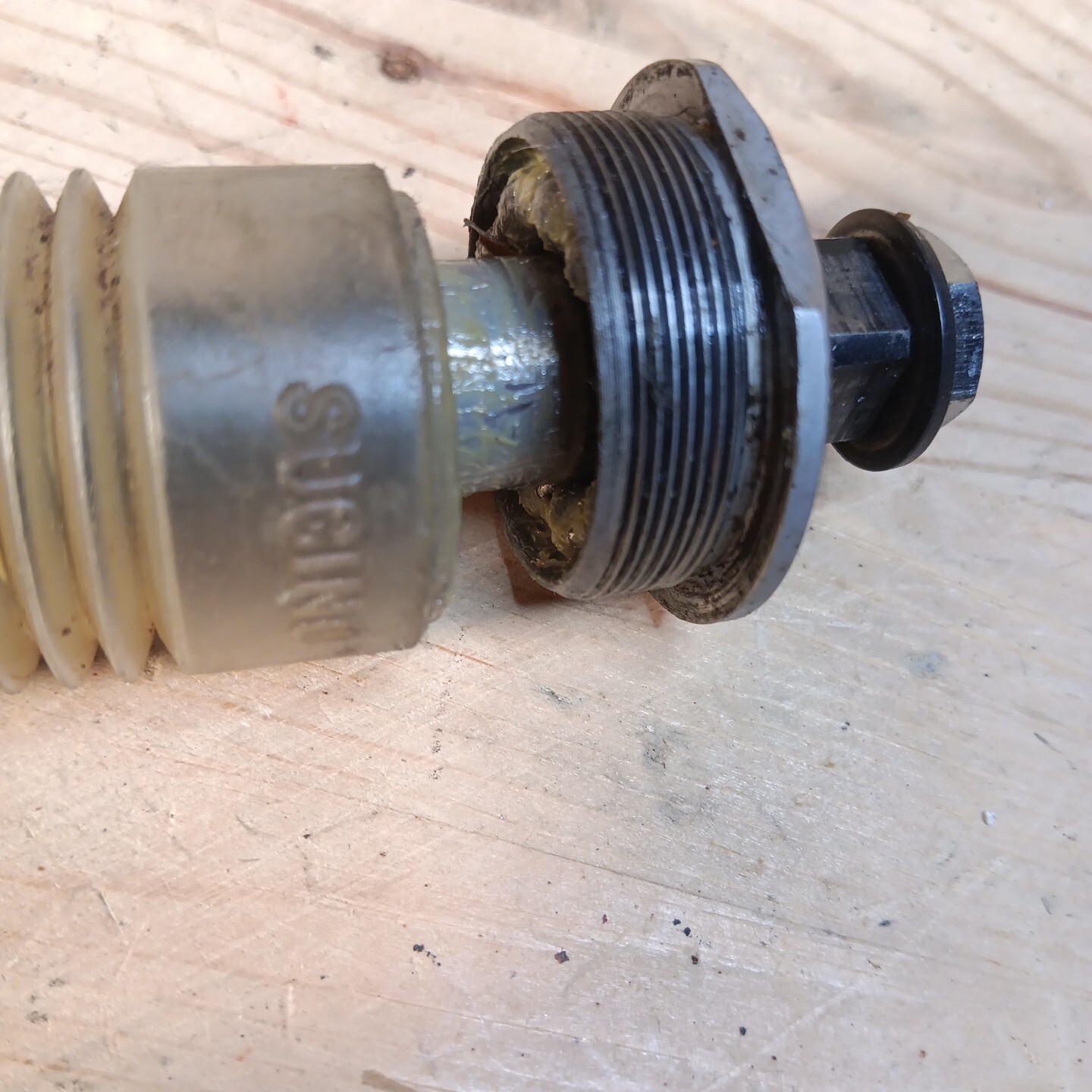 brev campagnolo frame