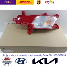 🚀Express 92406GI000 Original Blinkerleuchte hinten RECHTS für 22-23 IONIQ 5