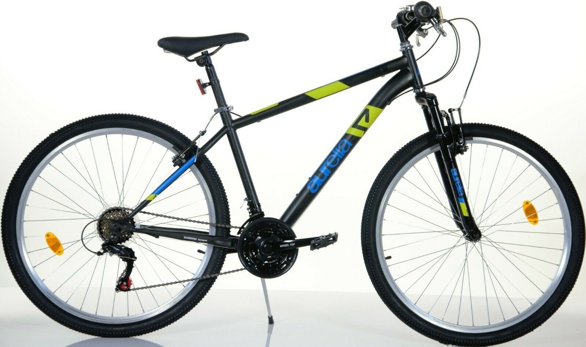 Bicicletta Bambino Aurelia MTB FAT 420 Plus Sport Dino Bikes - 24 poll