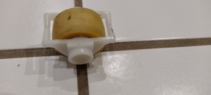 AEG L5.5TL    Rolle für Waschmaschinen, komplett 1460671025