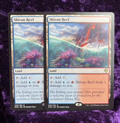 MTG - Shivan Reef x2 - EN 255/281 - DMU - NM