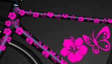 12-teiliges Fahrrad Hibiscus Aufkleber Hibiskus Blumen Schmetterlinge Bike
