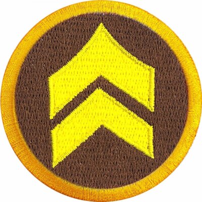 Service Wilderness Scout Merit Badge Embroidered Iron on Patch