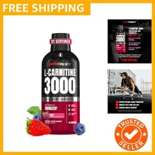 L-Carnitine Liquid 3000, Stimulant-Free Liquid Shots for Men  Women - Clean ...