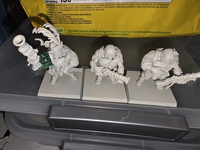 Warhammer Age Sigmar Empire of Man Imperial Ogres 3rd Party