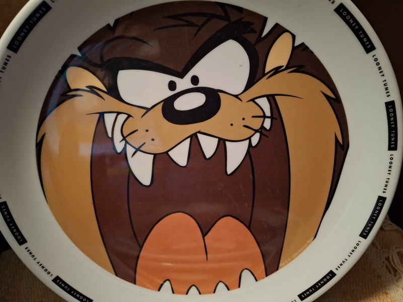 Classic Looney Tunes Tasmanian Devil Taz Plastic 10" Dinner Plate By Zak Designs