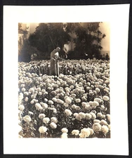 1939 World's Fair GGIE Golden Gate Exposition San Francisco Folder w/ Print